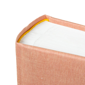foto_album_goldbuch_summertime_apricot_5.jpg