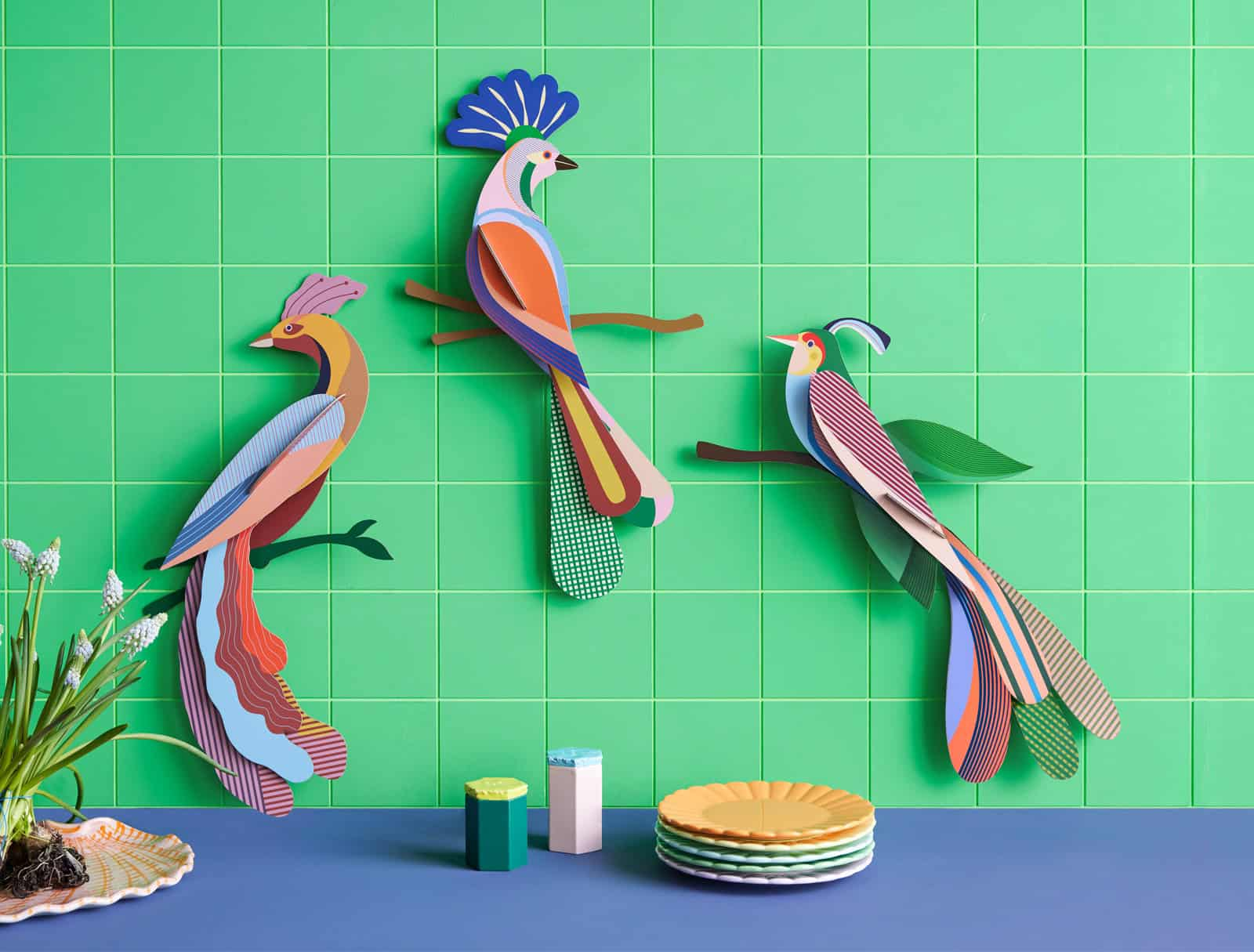 studio_roof_paradise_bird_-_nusa_ttm206_3.jpg