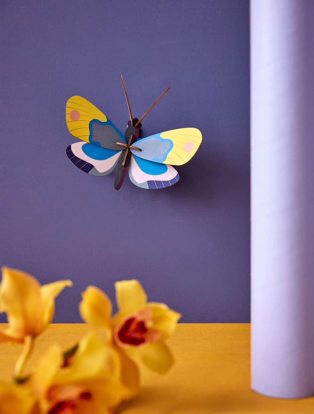 studio_roof_small_insects_-_yellow_monarch_butterfly_ima73_3.jpg