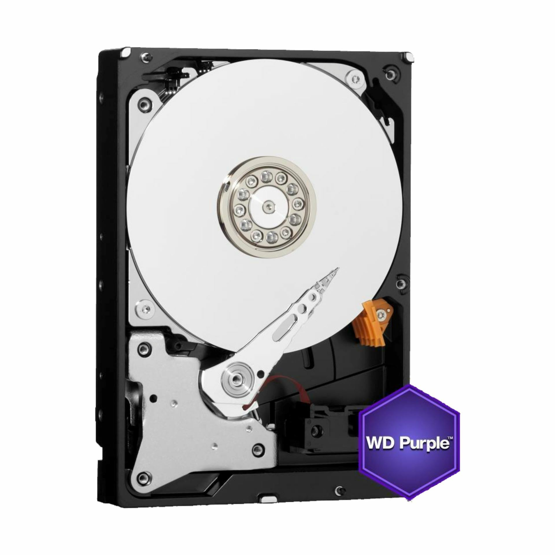 wd_purple_1tb_trdi_disk_9cm_5400_64mb_sata_wd11purz_2.jpg